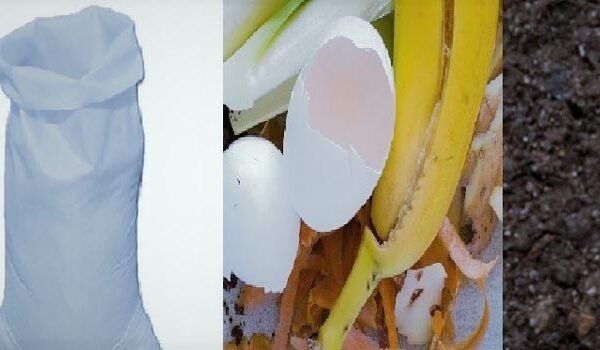 طرز تهیه کمپوست خانگی