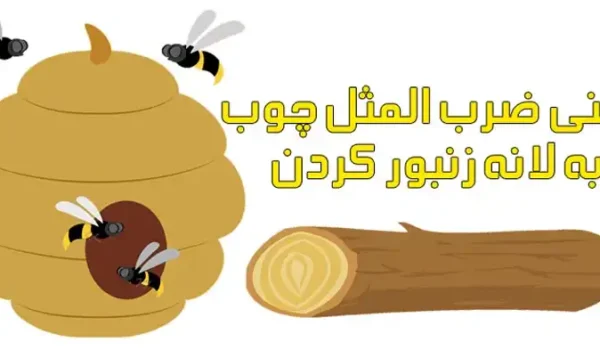 معنی ضرب المثل چوب به لانه زنبور کردن