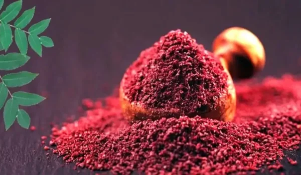 آشنایی کامل با سماق و فواید آن