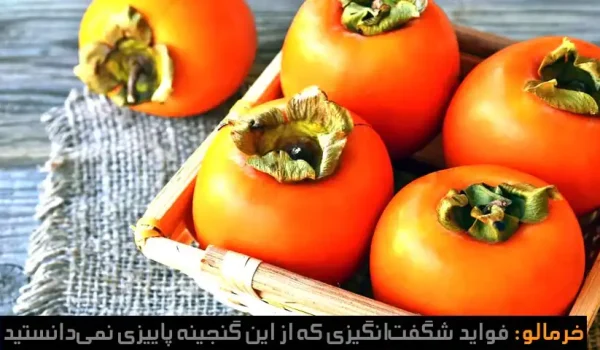 خرمالو فواید شگفت‌انگیزی که از این گنجینه پاییزی نمی‌دانستید